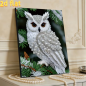 Preview: Diamond Painting Perlen Schneeeule